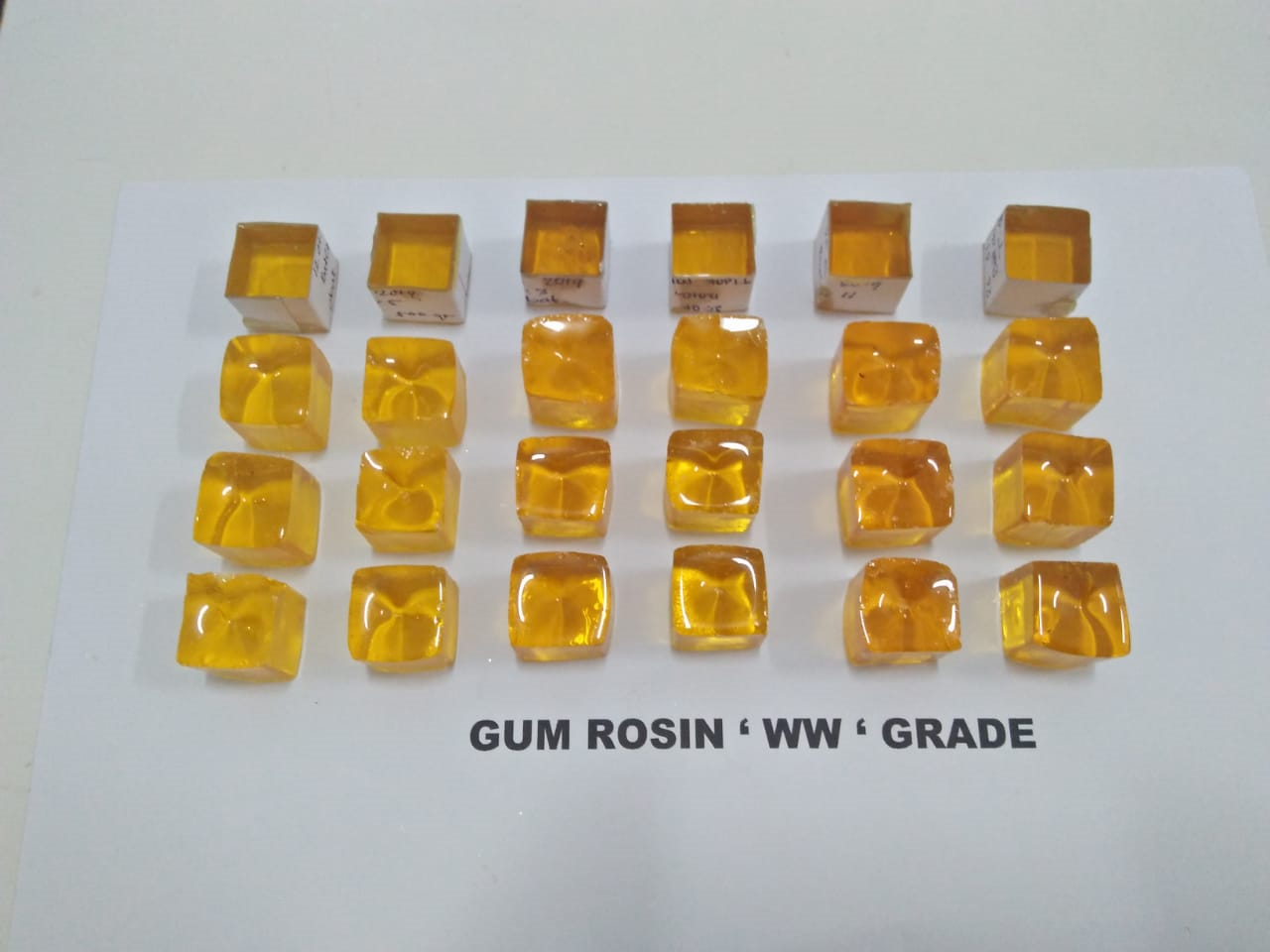 Gum Rosin PM 002 Nasco