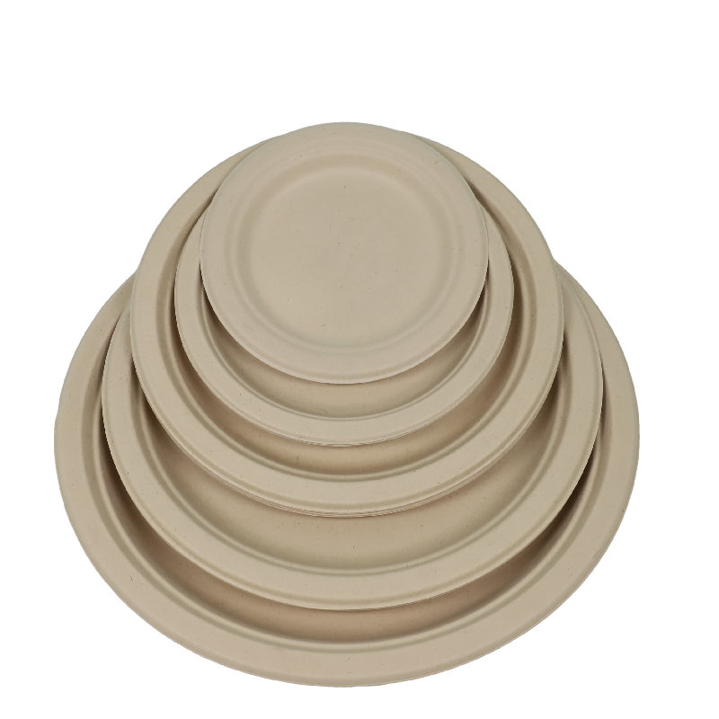 Best sales 10inch three compartments plate disposable Sugarcane Fiber party food paper plate