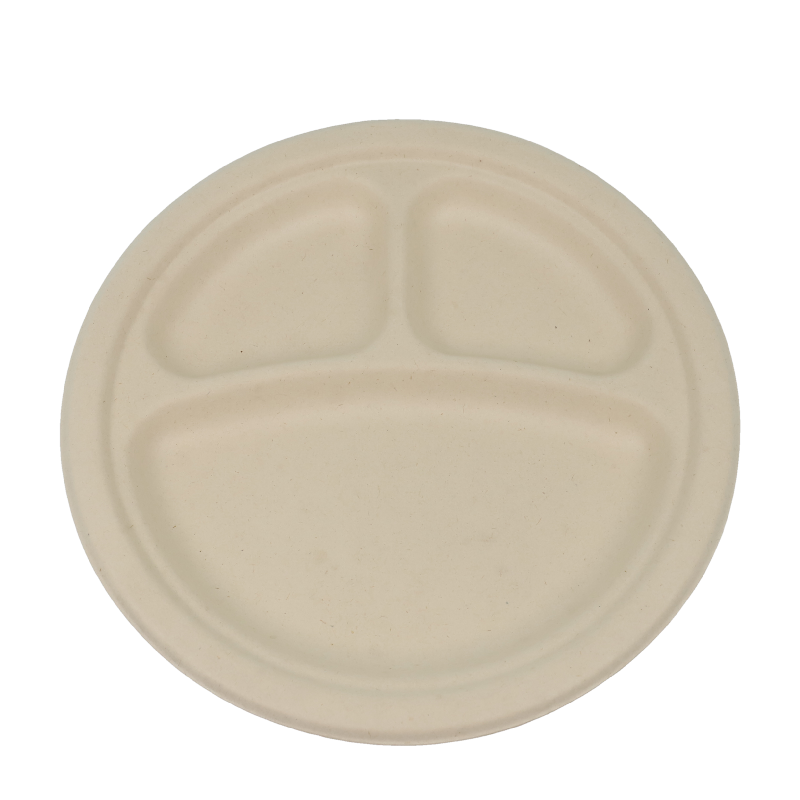 Best sales 10inch three compartments plate disposable Sugarcane Fiber party food paper plate