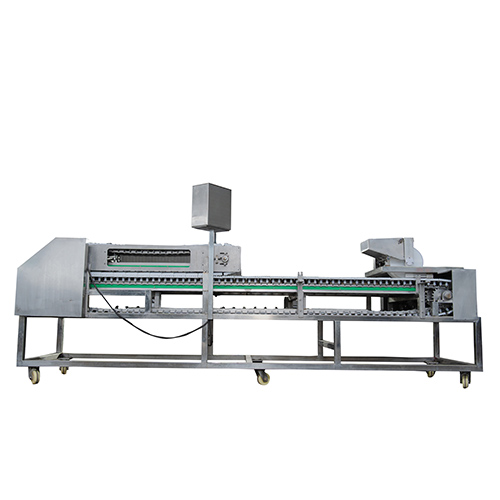 Factory Supply custom L5000W1650H1700 mm soybeans food processing machine automatic meat skewer machine box