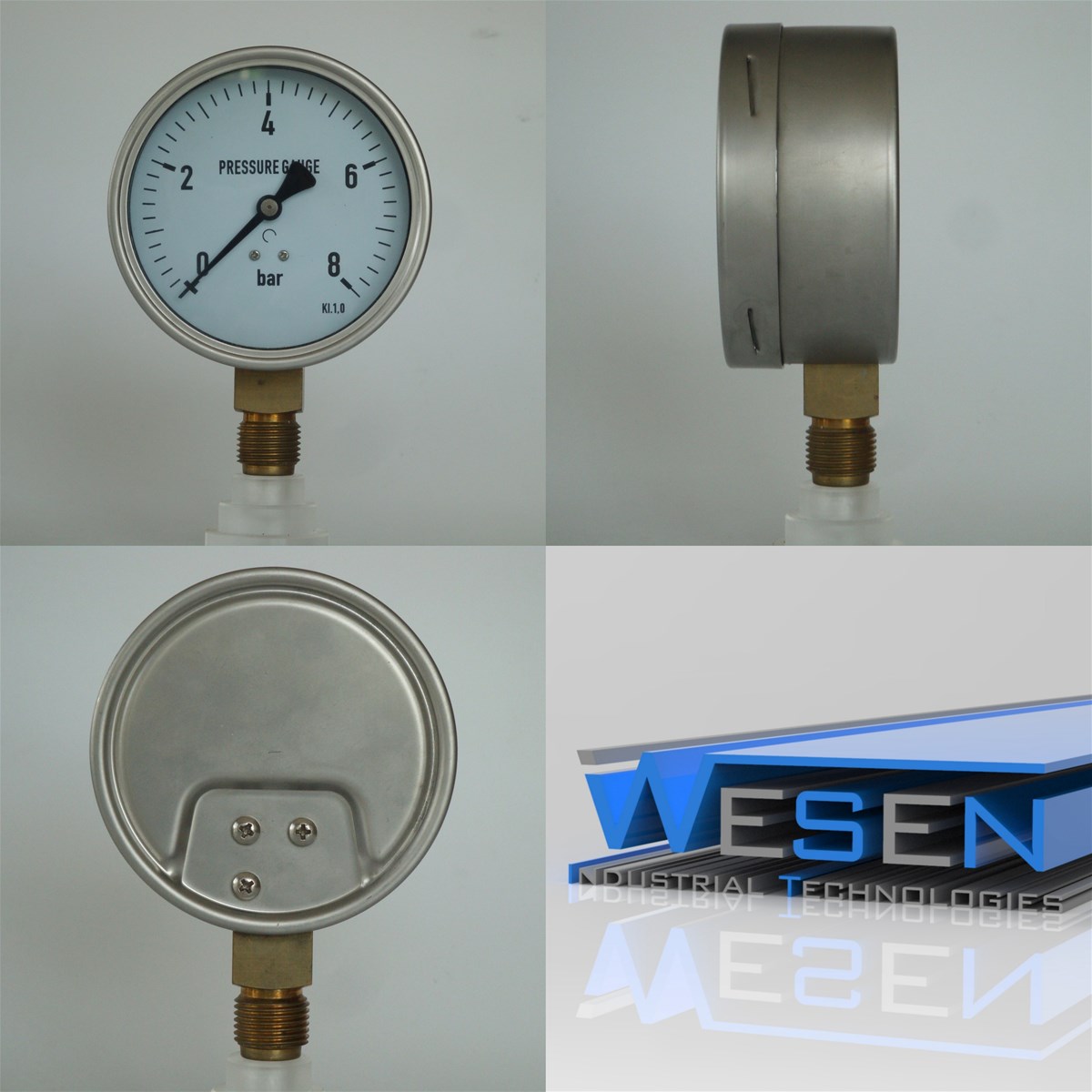 WESEN Technologies Stailess Steel Pressure Gauge 100mm back entry