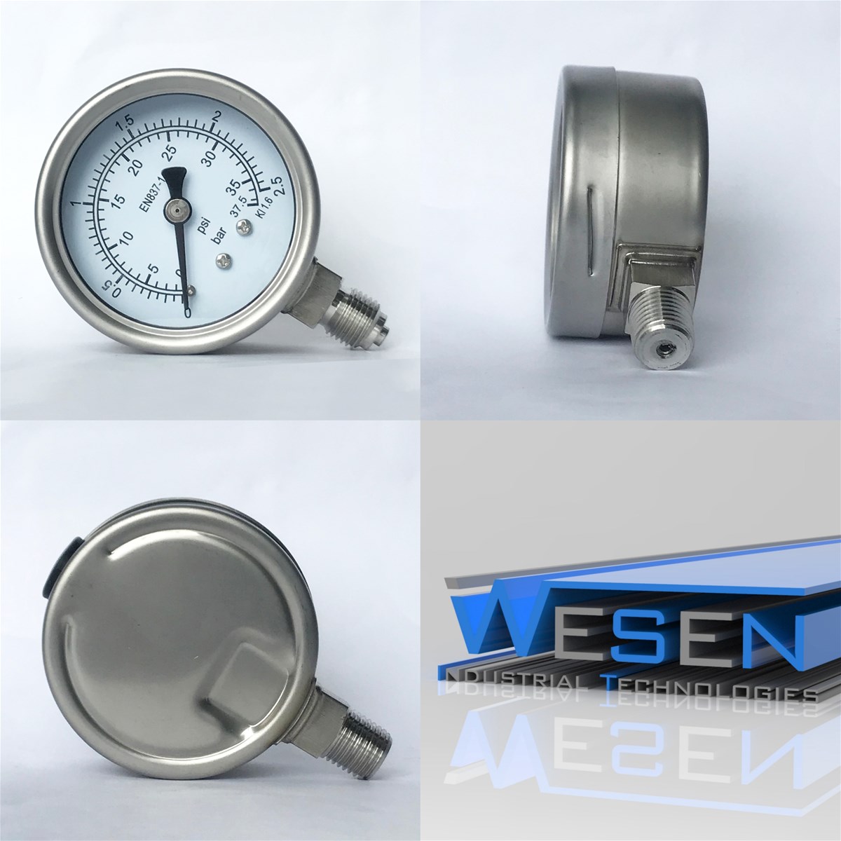 WESEN Technologies Pressure Gauge 63mm all stainless steel lower mount 25 bar