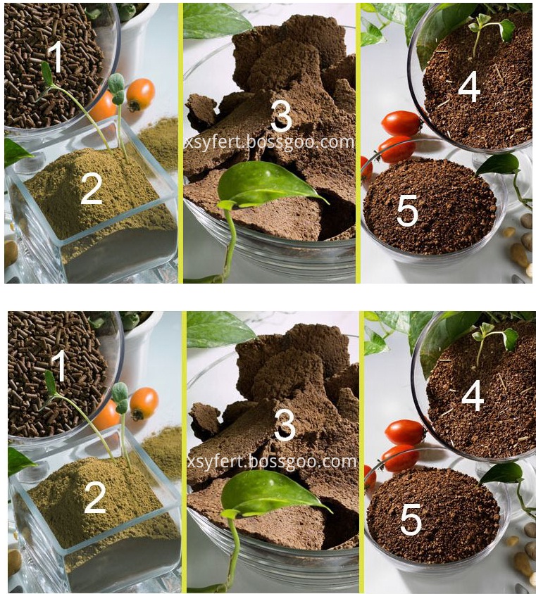 Tea seed meal for Biological fertiilizer