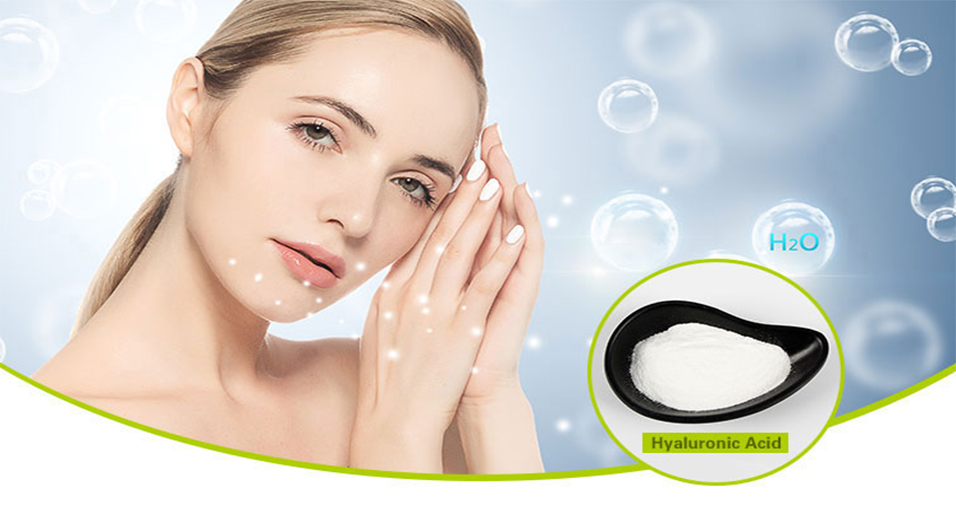 Food Cosmetic Pure Sodium Hyaluronate Hyaluronic Acid Powder for Skin Bulk for Sale