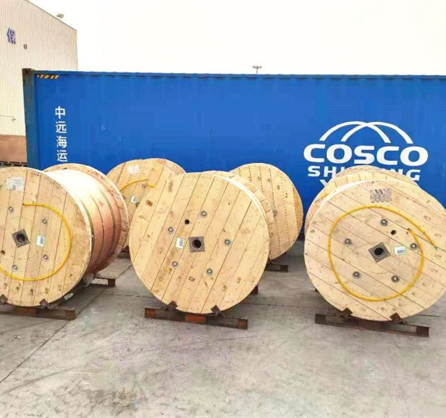 Tubing Encapsulated Cable TEC cable