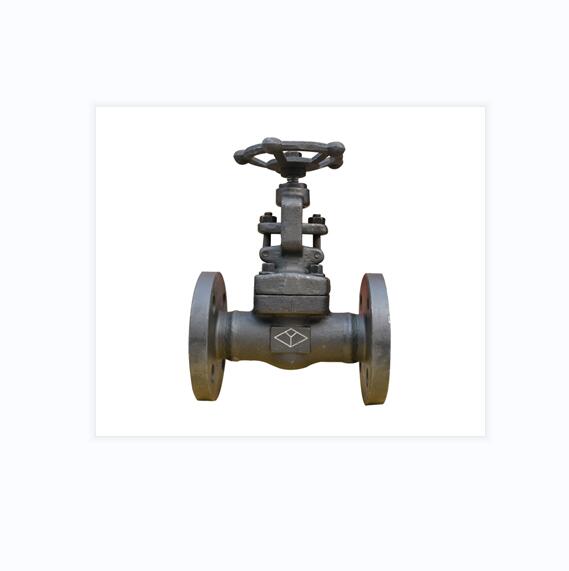 FORGED STEEL GLOBE VALVES mstnland