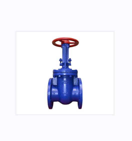 GATE VALVES MSTN International Technologies Company