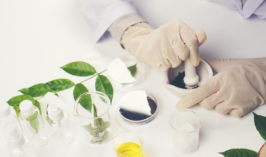 MAKEUP Guangdong Bawei Biotechnology Corporation