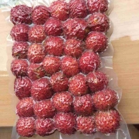 Rambutan Frozen Very Sweet High Quality
