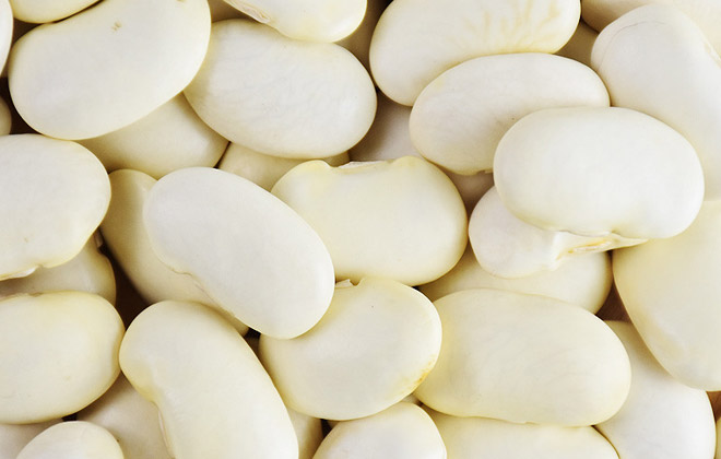 Large White Kidney Beans white kidney beans wholesale