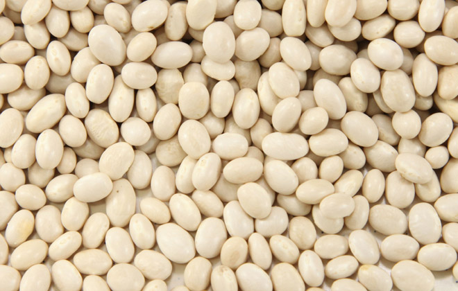 Pearl BeanWhite Kidney BeanWhite Beans