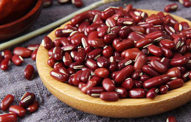 Phaseolus CalcaratusRed Phaseolus Beans