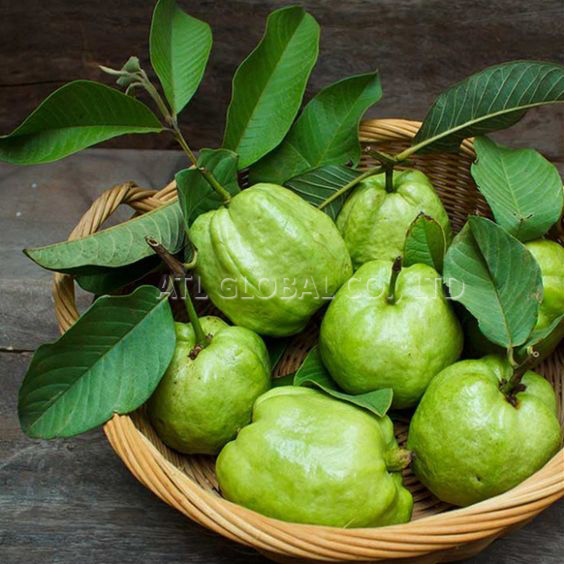 IQF FROZEN GUAVA WITH HIGH QUALITY FROM VIETNAM