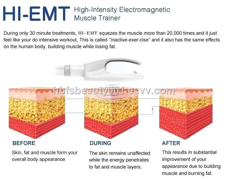 Portable 4 Handles 7 Tesla Emslim Sculpt Neo NO RF Muscle Stimulator Hiemt Pro Max 3 EMS Sculpting Body Slimming Machine