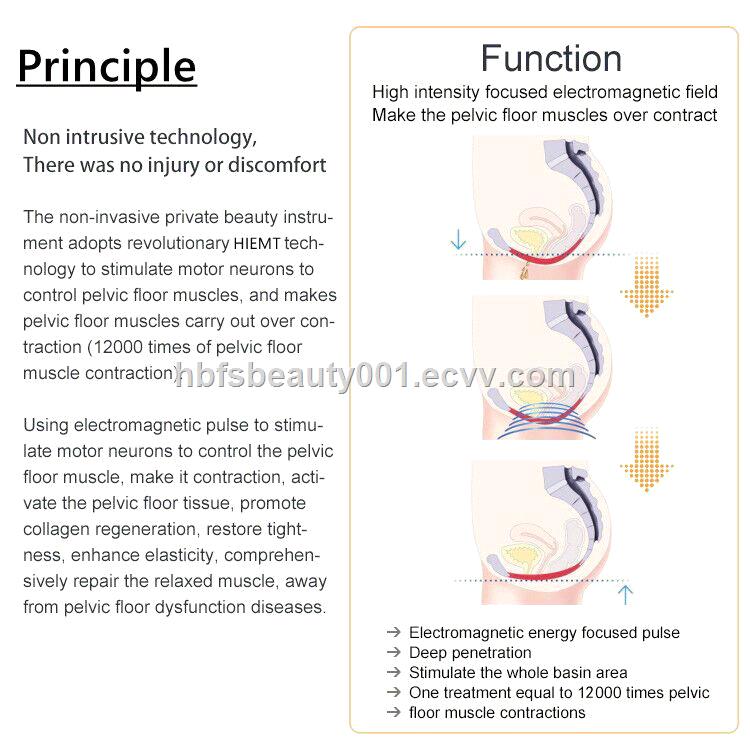 Portable 4 Handles 7 Tesla Emslim Sculpt Neo NO RF Muscle Stimulator Hiemt Pro Max 3 EMS Sculpting Body Slimming Machine