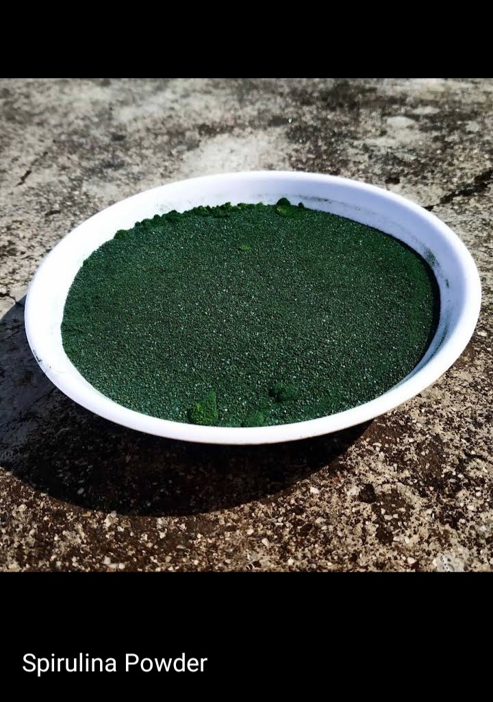Spirulina Powder And Tablets Blue Algea