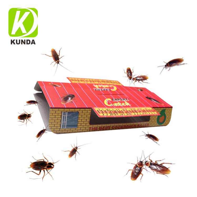 Cockroach House Cockroach Roach Glue Trap