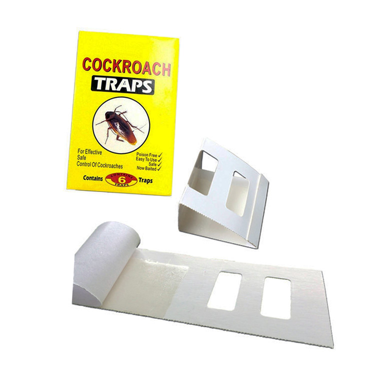 Cockroach House Cockroach Roach Glue Trap