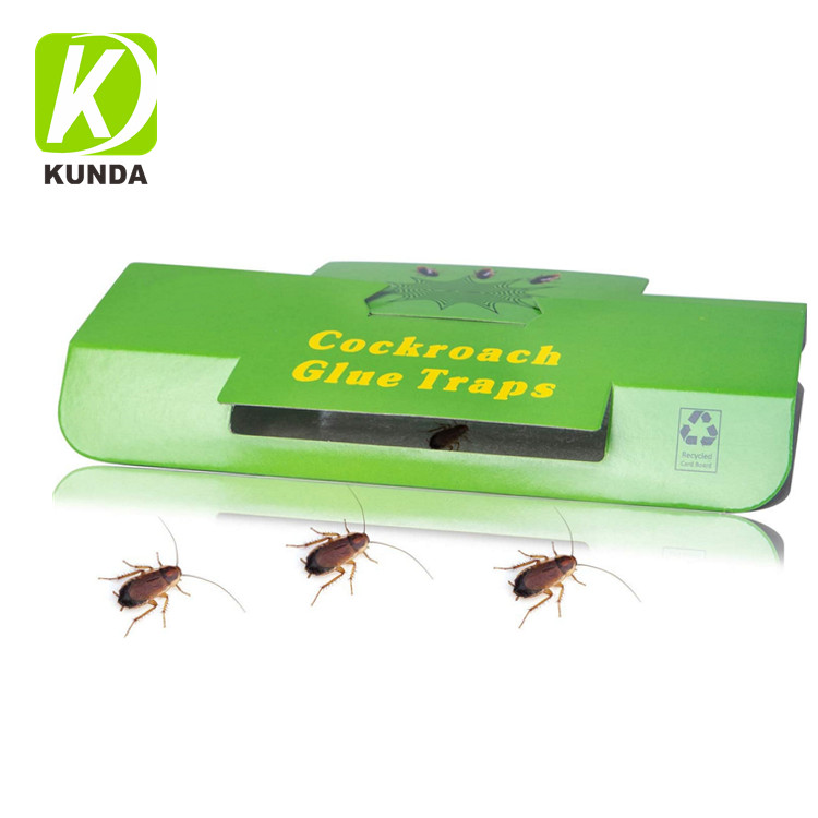 Cockroach House Cockroach Roach Glue Trap