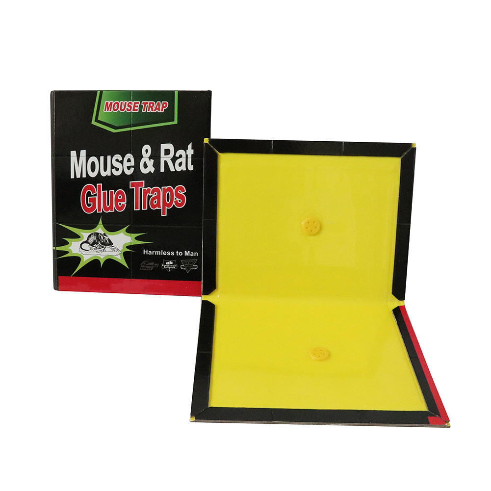 Mouse Glue Trap Rat Glue Trap Sticky Board