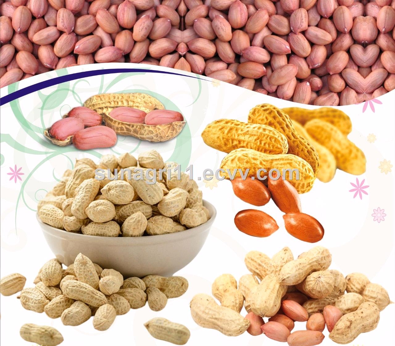 Groundnut Kernel Peanut Kernel