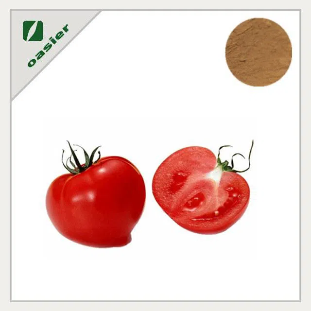 BUIK Tomato Fruit Extract manufacturer of plant extracts