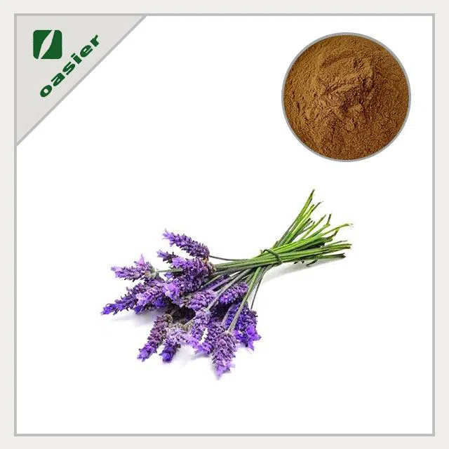 Lavender Extract Powder 3 Brown fine powder