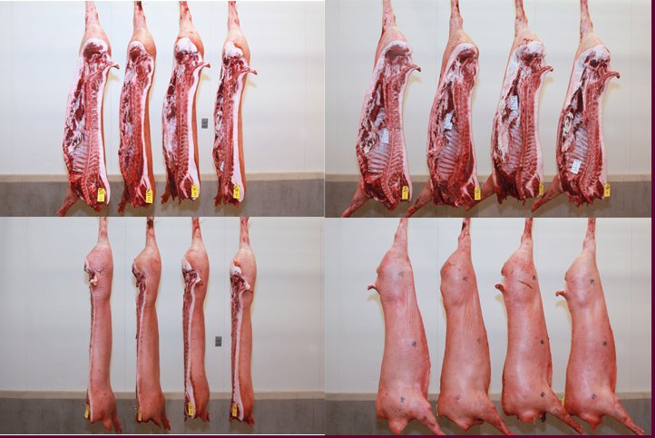 Pork ribs Trotters Belly fat Backbone Pig ear stomach head collar tenderloin pork brain Pork feet