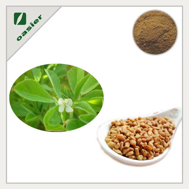 Product Name Fenugreek Extract Powder