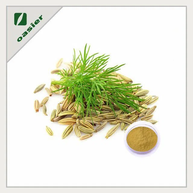 Product Name fennel fruit extract