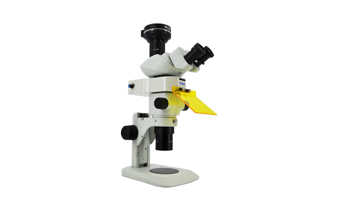 Stereofluorescence microscope MZX81