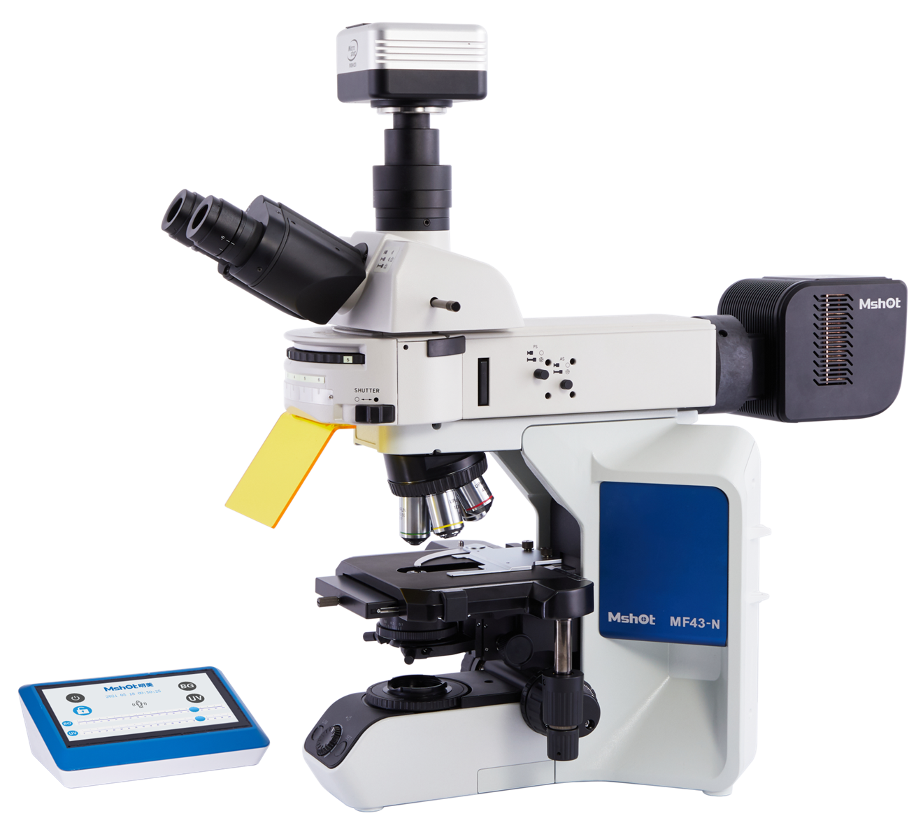 Fluorescence microscope MF43N