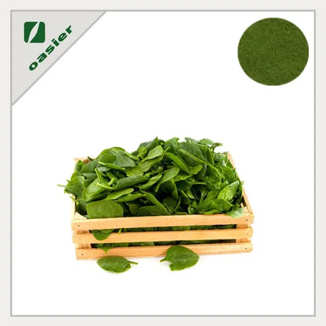 Organic Spinach Exrtact Powder