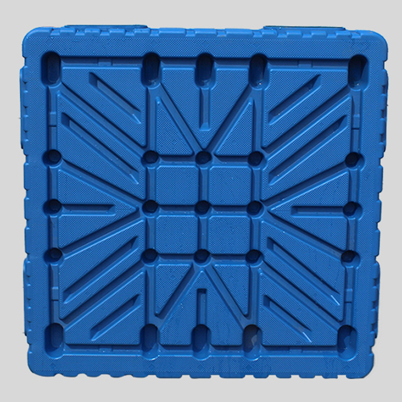 Can process customized plastic trays of various specifications