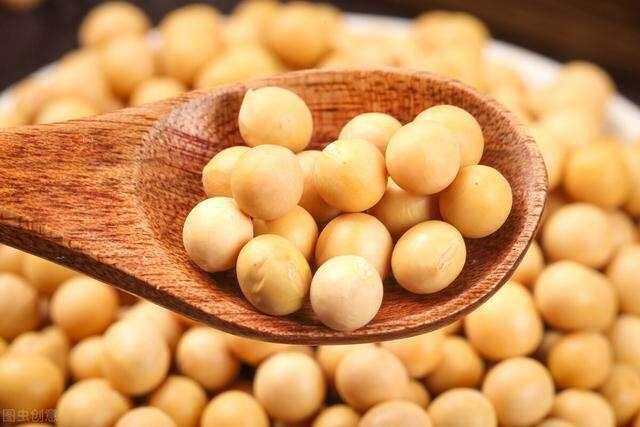 Soybean Extract Powder Soy Isoflavones 40