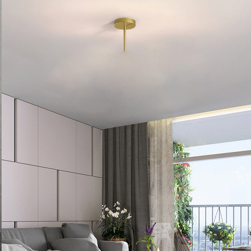 Rongdu interior wall matte paint