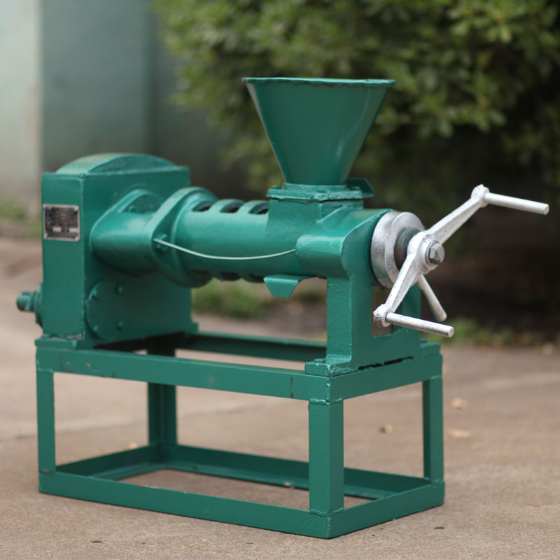 6yl68 electricity oil press machine oil pressers avocado