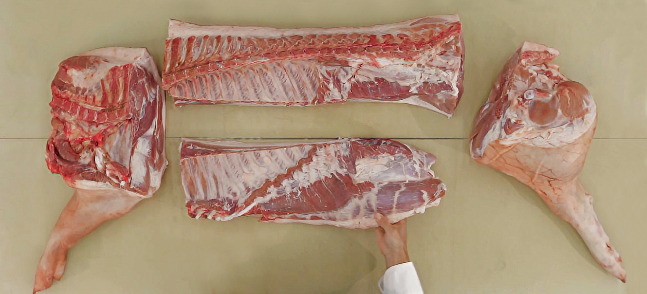 Frozen Ribs Ears Pork head Pork Belly Pig Carcass Small intestines of pig