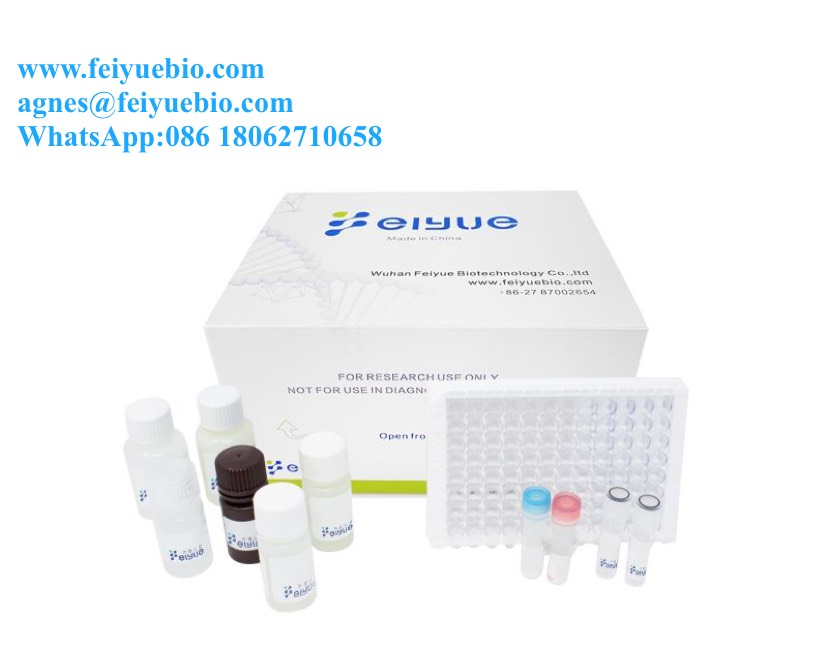 Supply ELISA KitsAntibodiesCells for Biotech research