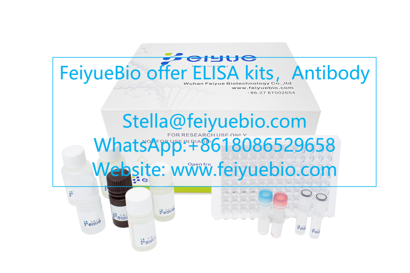 feiyuebio as a manufacturer of ELISA kits Antibodies Proteins Cell and related reagents with the best products