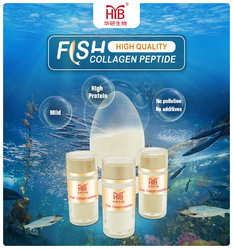 Factory low MOQ price OEM fish collagen peptide powder