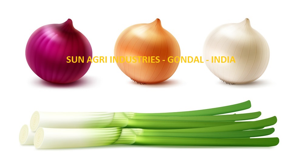 Onion Exporter from India Used for Food