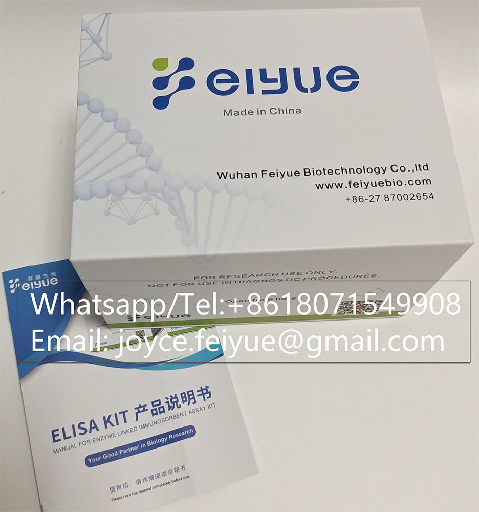 FeiyuebioHuman VEGFR1Vascular Endothelial Growth Factor Receptor 1 ELISA Kit