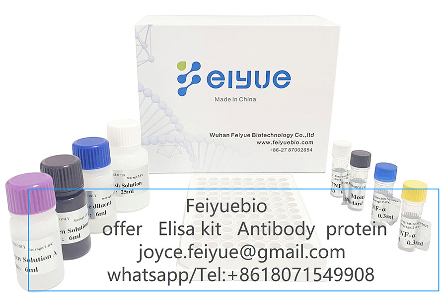 Human EDNEosinophilDerived Neurotoxin ELISA Kit