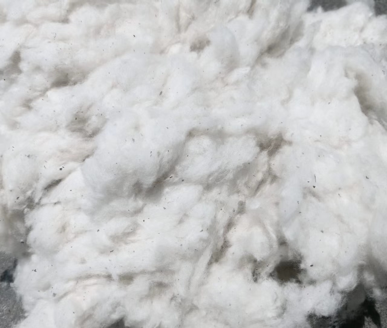 Cotton FlatIndian Cotton Waste