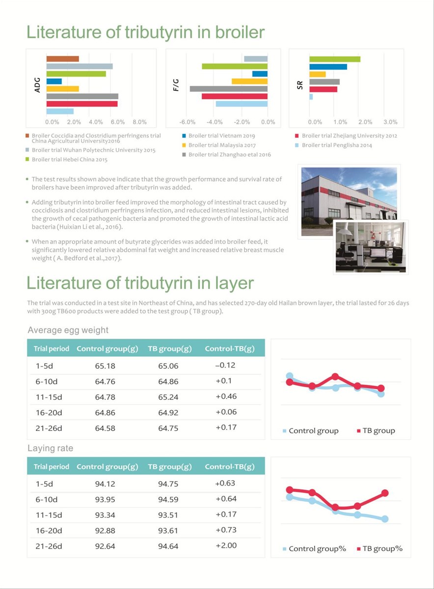 Tributyrin Feed Additives Factory Supply EUCALORIE Tributyrin Powder 45 60 65 70 Poultry Pig Chicken Feed Supplement