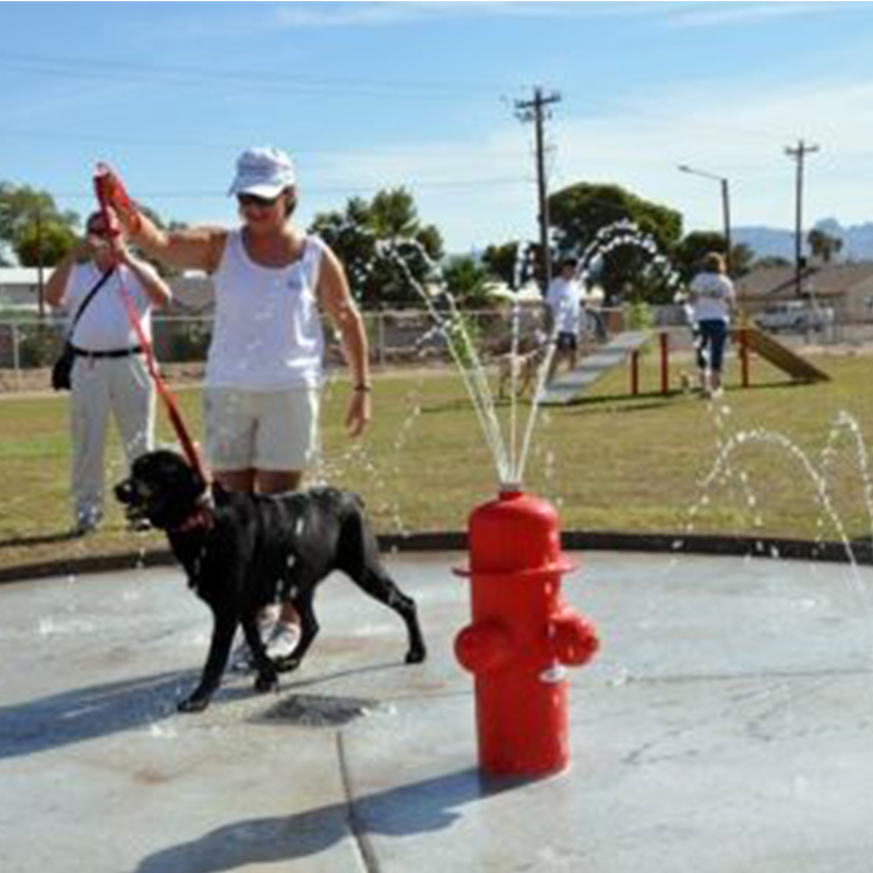 Cenchi Splash Pad Dog Pet Agility Training Puppy Umbrella Spray Playground Equipment