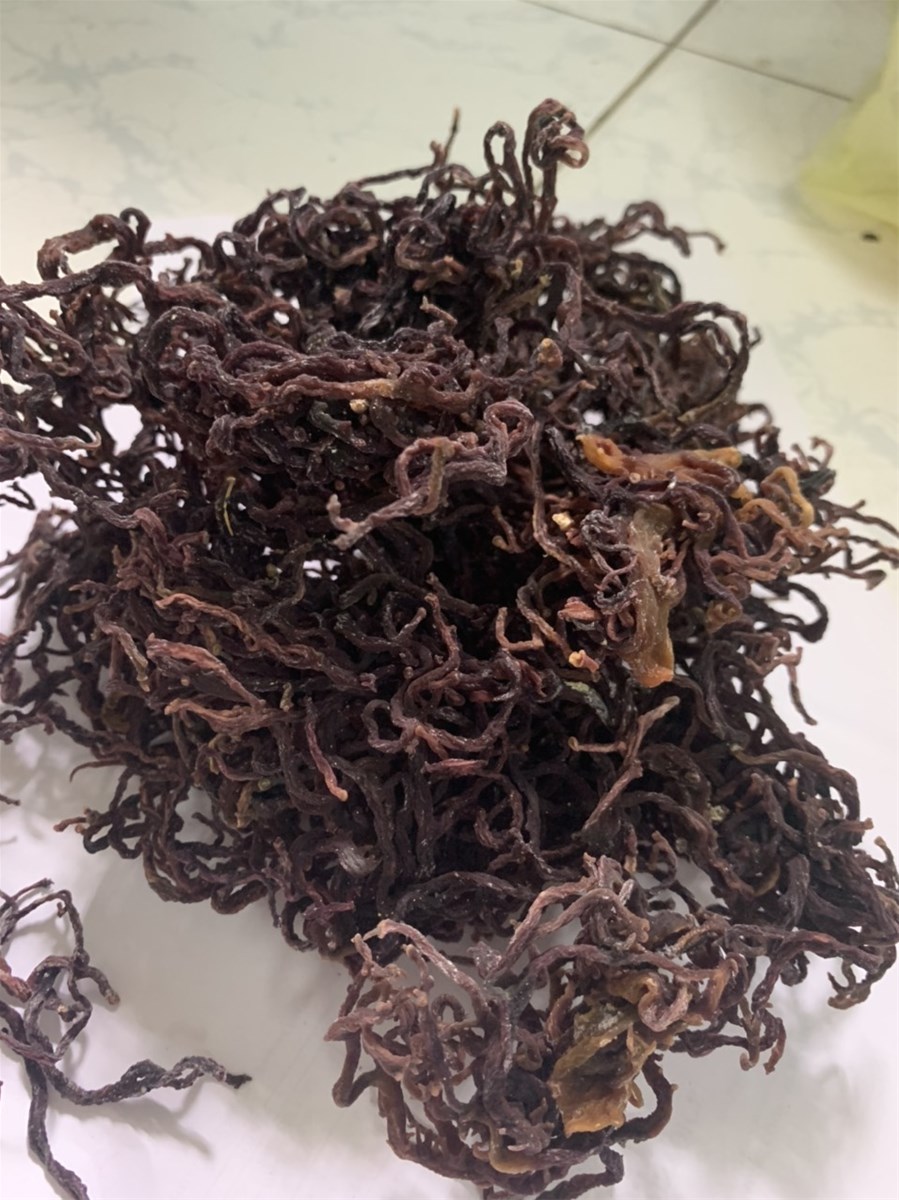 Gold sea moss Irish Moss Natural Sea Moss High Quality From Vietnam