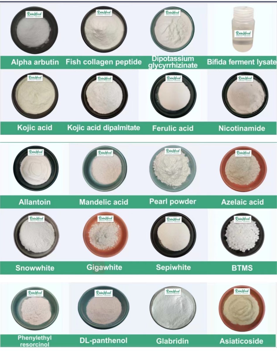 Lcarnitine Powder Food Grade Additives Nutrient Supplements L carnitine CAS 541151