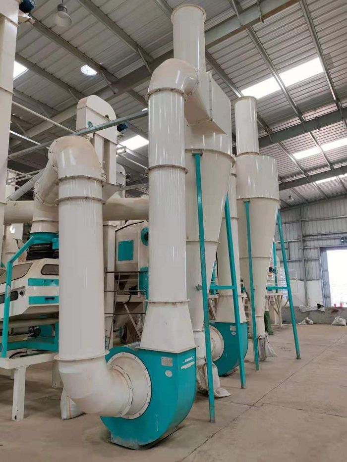 Green Mung Beans Processing Machine